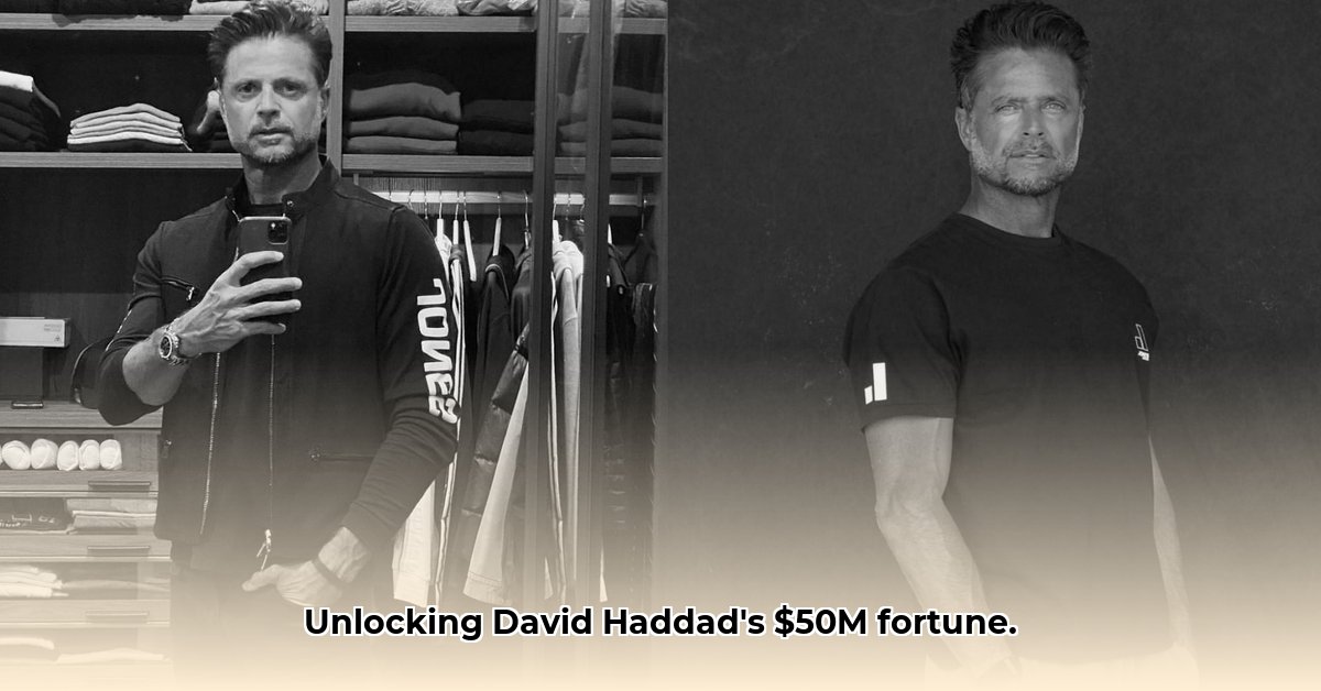 david-haddad-net-worth